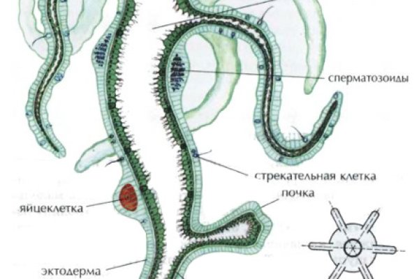 Кракен ссылка на сайт