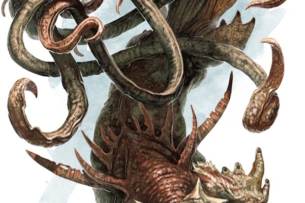 Kraken 20at net