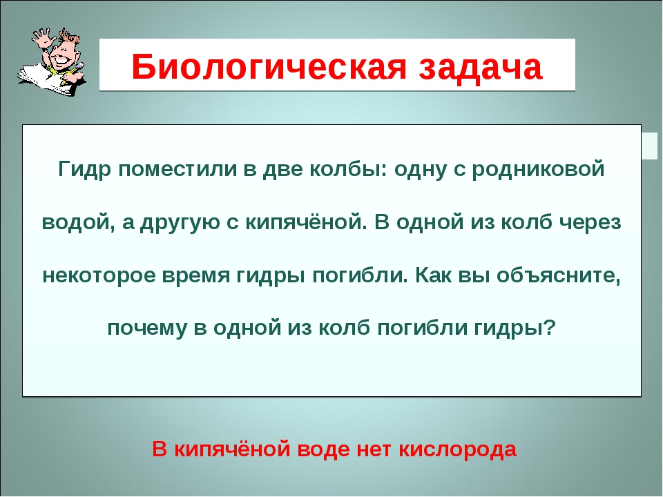 Кракен сайт биз