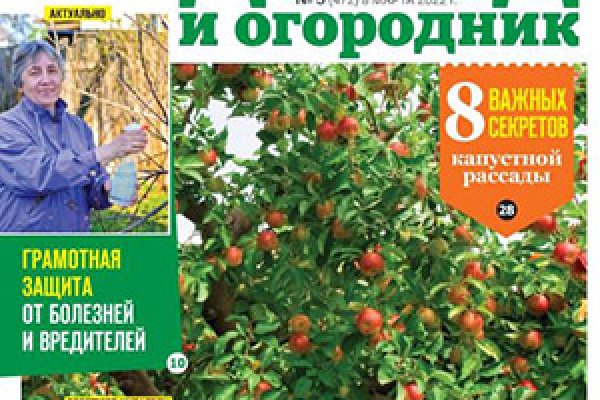 Kra40.cc Вход на сайт главная страница