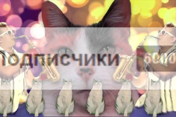 Как выводить деньги с кракена