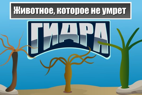 Кракен прямая ссылка