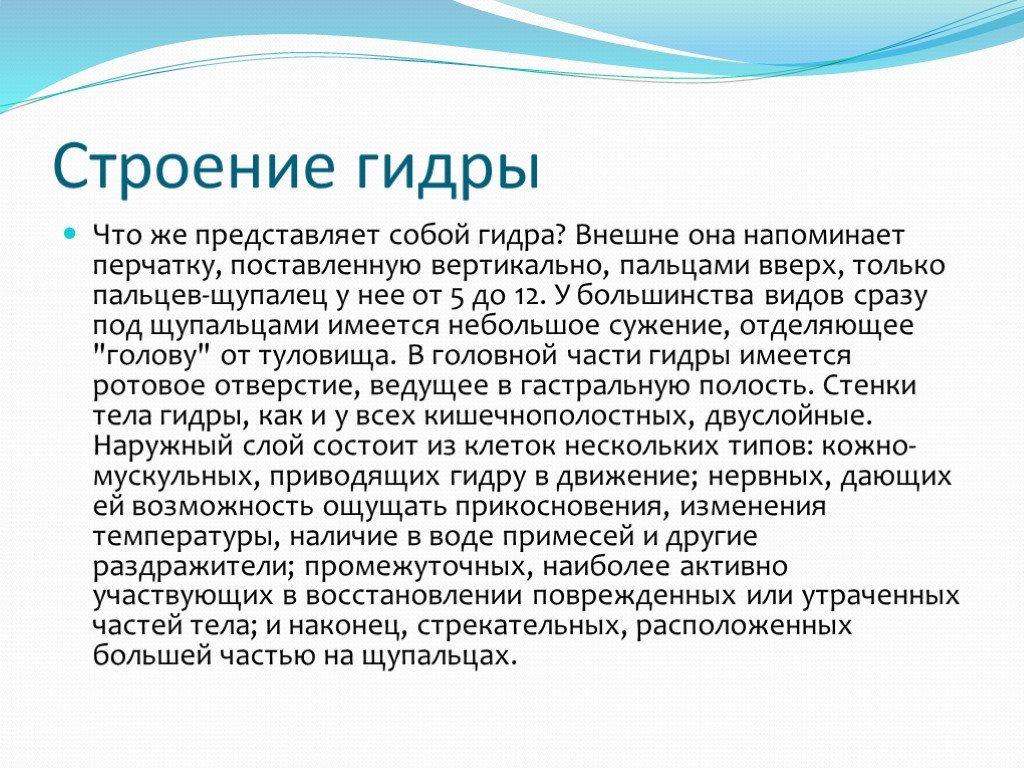 Кракен гидра даркнет